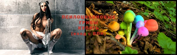 кокс Абаза